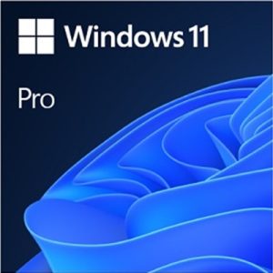 Microsoft Windows 11 Pro 64 Bit digital license card 1