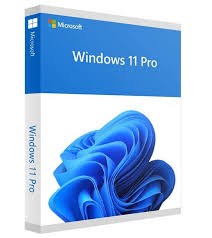 Microsoft Windows 11 Pro Bit CD box 1